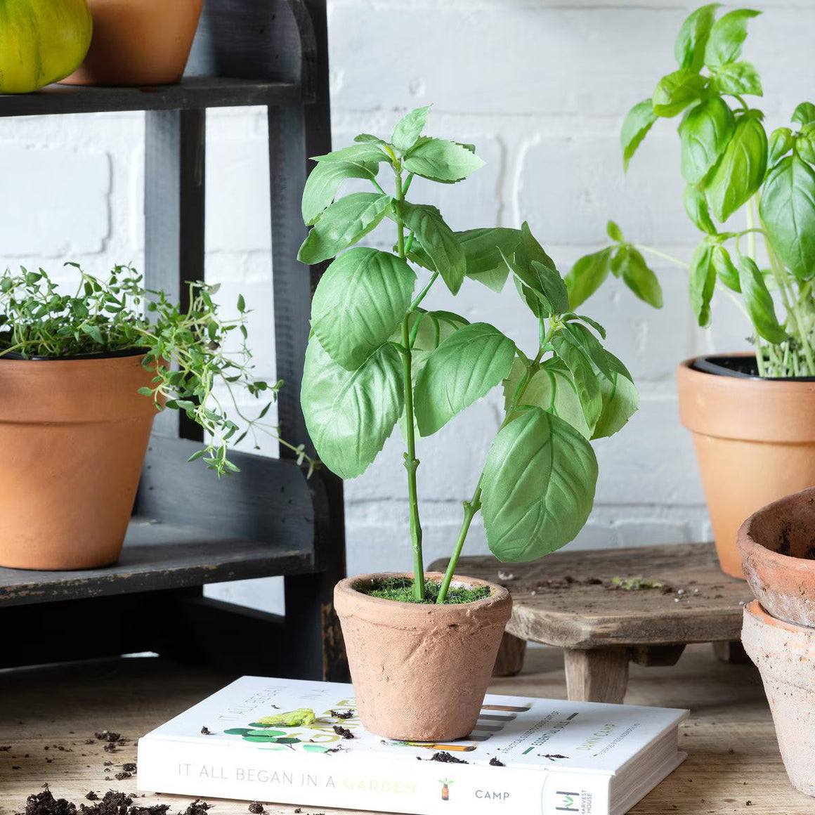 Faux Basil Plant in Windowsill Pot - Set of 6