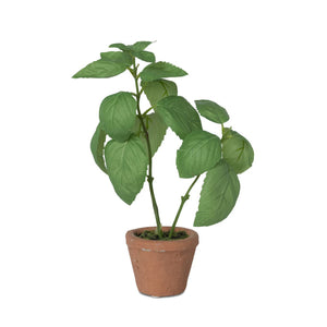 Faux Basil Plant in Windowsill Pot - Set of 6