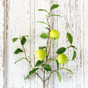 Faux Quince Fruit Branches - Set of 6