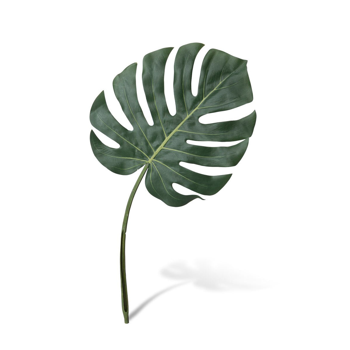 Faux Monstera Leaf, Small - Set of 12