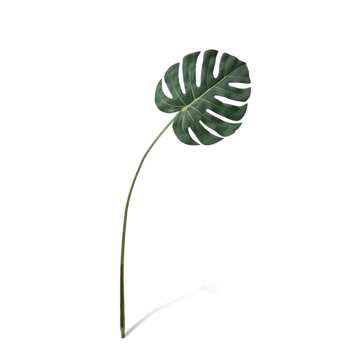 Faux Monstera Leaf, Medium - Set of 12