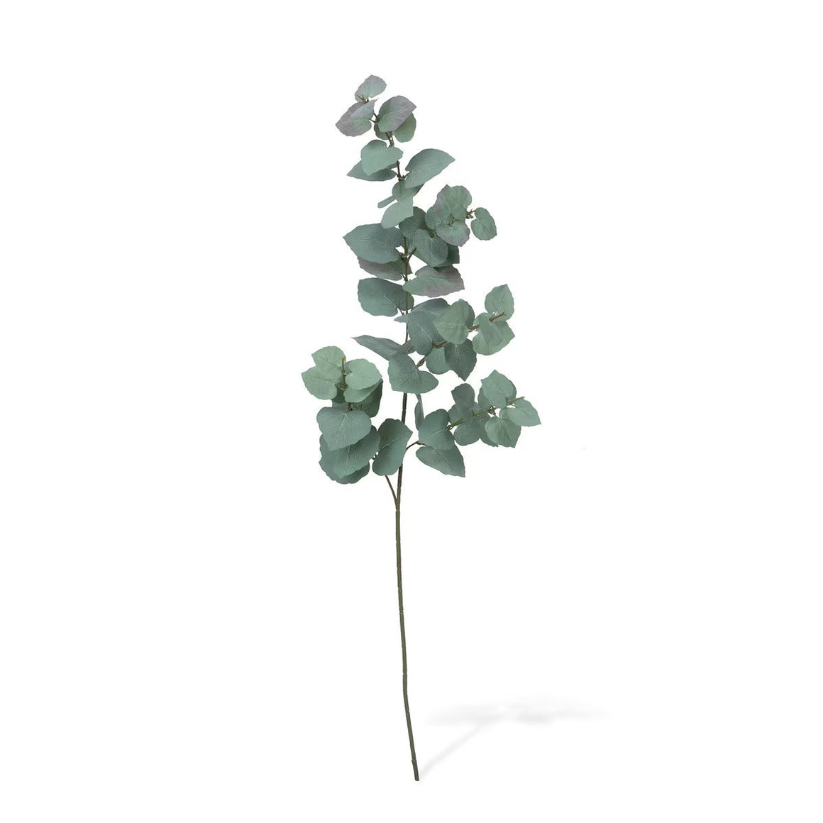 Faux Silver Dollar Eucalyptus Stems - Set of 12