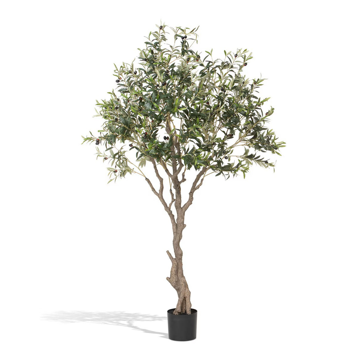Faux Olive Tree with Weighted Black Pot, 78 Inch