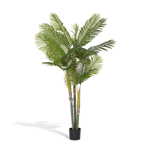 Faux Palm with Weighted Black Pot, 82 In.