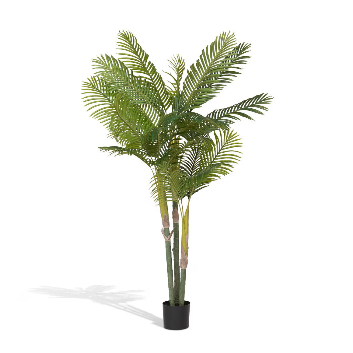 Faux Palm with Weighted Black Pot, 82 In.